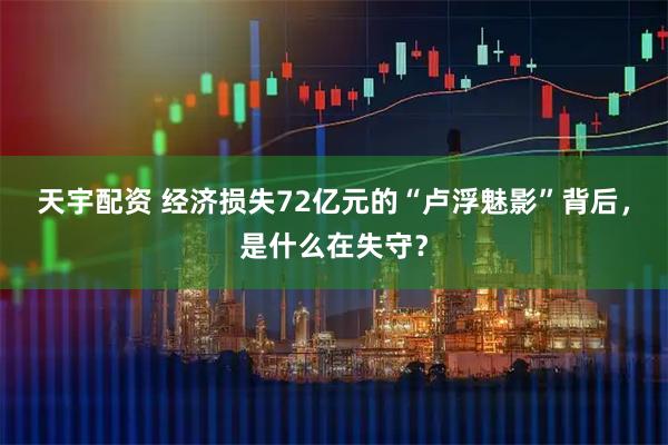 天宇配资 经济损失72亿元的“卢浮魅影”背后，是什么在失守？