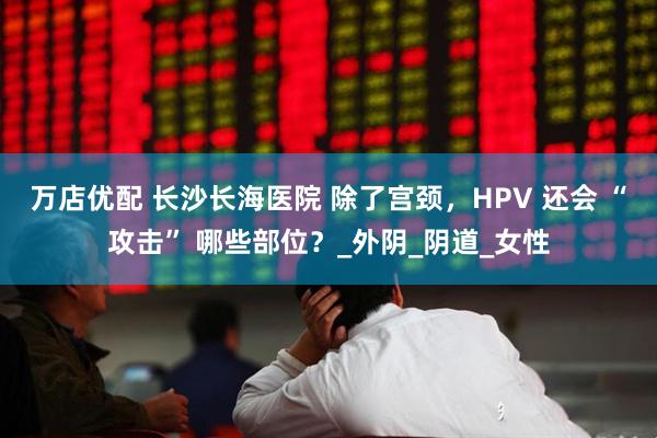万店优配 长沙长海医院 除了宫颈，HPV 还会 “攻击” 哪些部位？_外阴_阴道_女性