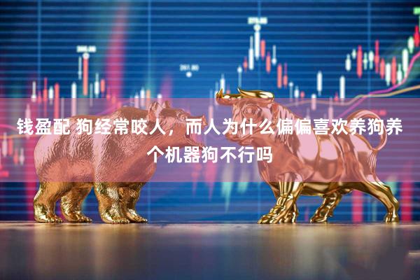 钱盈配 狗经常咬人，而人为什么偏偏喜欢养狗养个机器狗不行吗